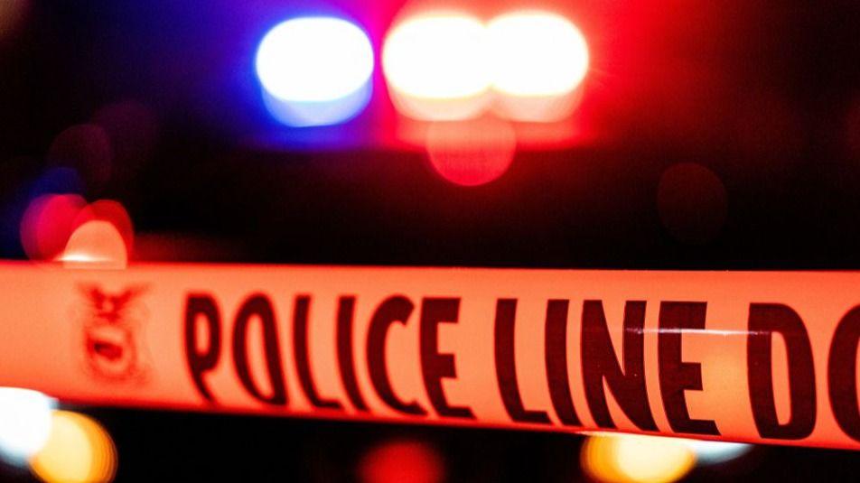 Teddy bear made from fake human skin leads to California arrest