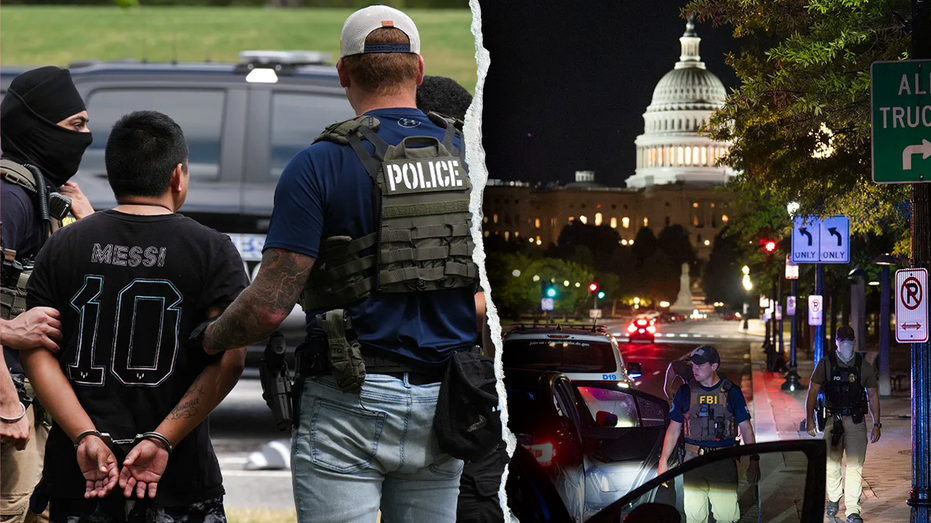 Social media erupts after illegal immigrant screams during viral DC arrest: 'What I voted for'
