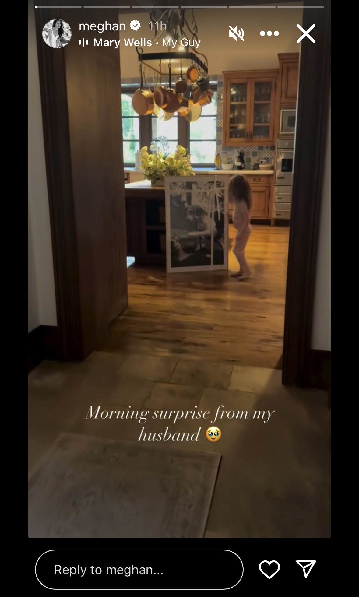 Meghan Markle Gives Rare Glimpse of Daughter Lilibet, 4, Inside Family Home