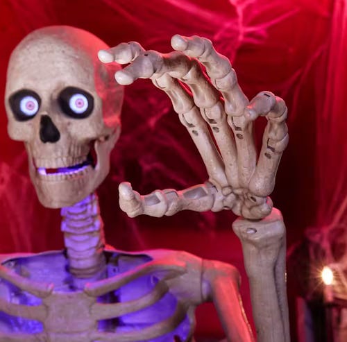 The Home Depot Halloween 2025 Collection Is Officially Here &amp; Skelly Is Back