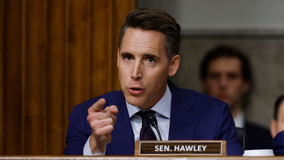 Hawley opens probe into Meta after reports of AI romantic exchanges with minors