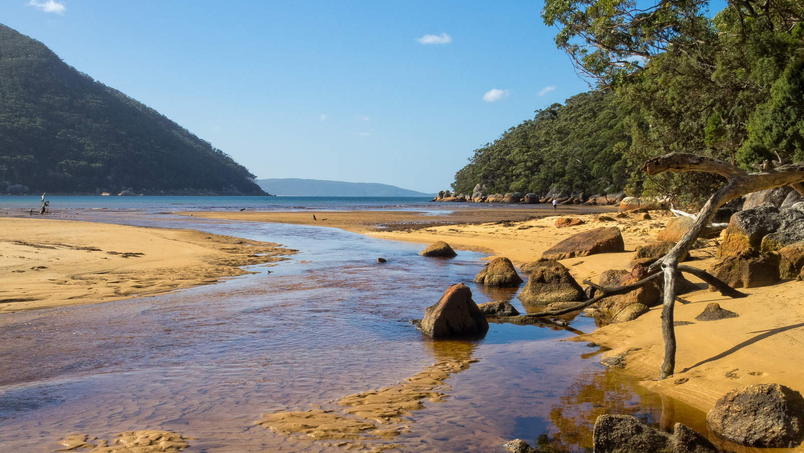 This Artsy Australian Town's Rolling Farmland Mixes Beachy Bliss With Countryside Calm And Coastal Trails