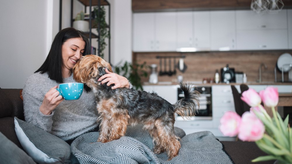 Pumpkin Spice for Pups? Yes, It’s Officially a Thing With This Human-Grade Dog Treat