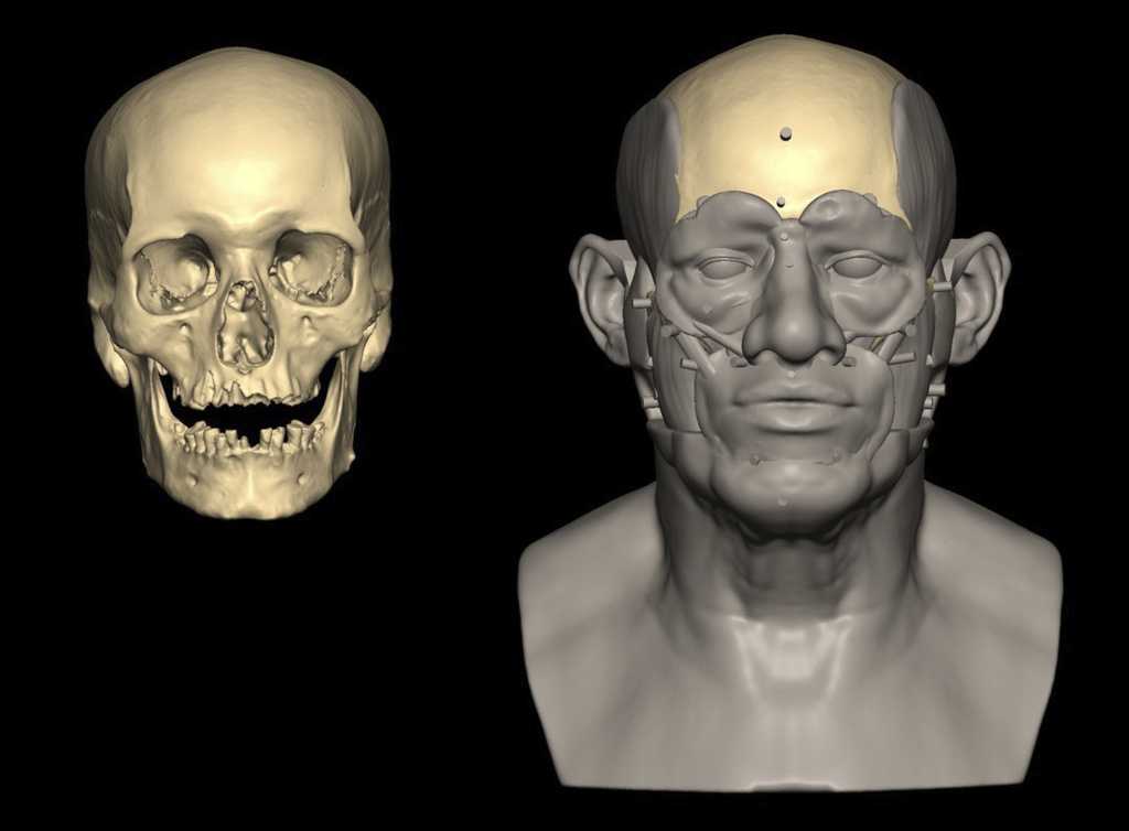 Ancient DNA shows genetic link between Egypt and Mesopotamia